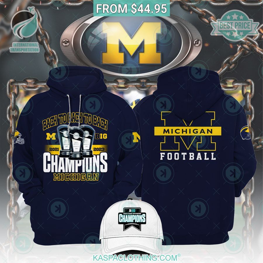 Michigan Wolverines 2023 BIG TEN Champions Hoodie Best click of yours
